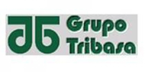 Grupo Tribasa