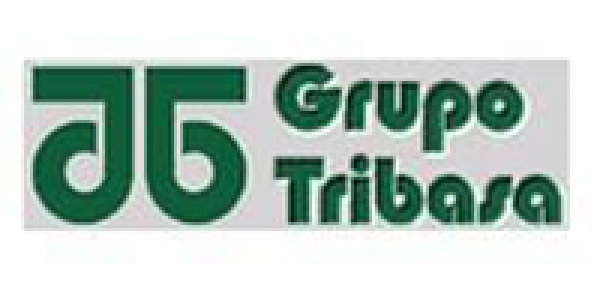 Grupo Tribasa